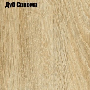 Шкаф-купе Лофт 1600 Шк16-60 (Дуб Сонома) в Миассе - miass.ok-mebel.com | фото 4