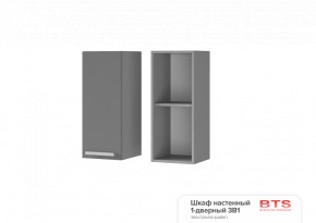 ШКАФ НАСТЕННЫЙ 1-ДВЕРНЫЙ 3В1 (300Х720Х310 см) КГ Крафт в Миассе - miass.ok-mebel.com | фото