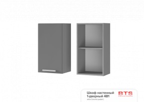 ШКАФ НАСТЕННЫЙ 1-ДВЕРНЫЙ 4В1 (400Х720Х310) КГ Крафт в Миассе - miass.ok-mebel.com | фото