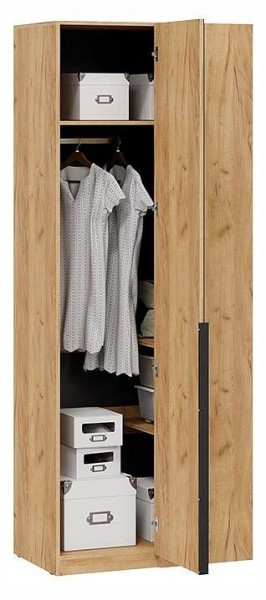 Шкаф платяной Джоли в Миассе - miass.ok-mebel.com | фото 3