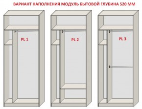 Шкаф распашной серия «ЗЕВС» (PL3/С1/PL2) Серый камень/Небраска натуральный в Миассе - miass.ok-mebel.com | фото 5
