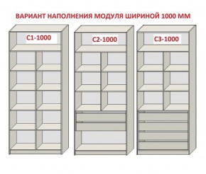 Шкаф распашной серия «ЗЕВС» (PL3/С1/PL2) Серый камень/Небраска натуральный в Миассе - miass.ok-mebel.com | фото 7