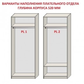 Шкаф распашной серия «ЗЕВС» (PL3/С1/PL2) Серый камень/Небраска натуральный в Миассе - miass.ok-mebel.com | фото 9