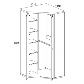 Шкаф угловой 2D, MAGELLAN, цвет Сосна винтаж в Миассе - miass.ok-mebel.com | фото 2