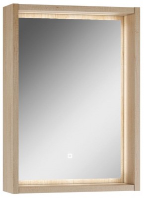 Шкаф-зеркало Nice 50 с подсветкой Домино (DN4705HZ) в Миассе - miass.ok-mebel.com | фото