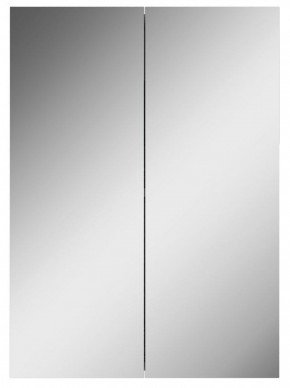 Шкаф-зеркало Норма 50 2 двери АЙСБЕРГ (DA1636HZ) в Миассе - miass.ok-mebel.com | фото 4