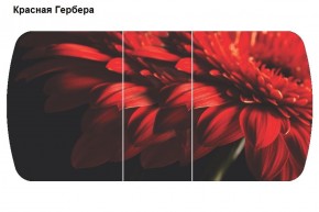 Стол Бостон-3 (1100/1420*700) опоры Брифинг в Миассе - miass.ok-mebel.com | фото 5