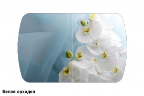 Стол Бостон 900*600 (опоры Брифинг) Стекло/фотопечать Белая Орхидея в Миассе - miass.ok-mebel.com | фото