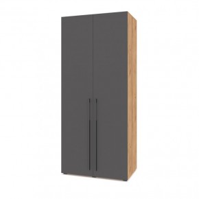 СТОУН С22 Шкаф 2-х створчатый (золотой дуб/графит) в Миассе - miass.ok-mebel.com | фото