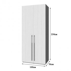 СТОУН С22 Шкаф 2-х створчатый (золотой дуб/графит) в Миассе - miass.ok-mebel.com | фото 2