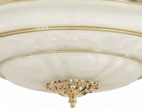 Светильник на штанге Arti Lampadari Pavia Pavia E 1.13.P40 G в Миассе - miass.ok-mebel.com | фото 3