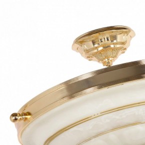 Светильник на штанге Arti Lampadari Pavia Pavia E 1.13.P40 G в Миассе - miass.ok-mebel.com | фото 4