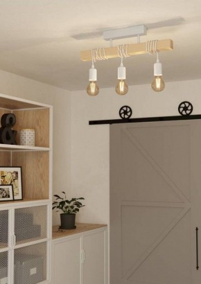 Светильник на штанге Eglo TOWNSHEND 44082 в Миассе - miass.ok-mebel.com | фото 2