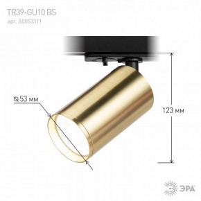 Светильник на штанге Эра  TR39-GU10 BS в Миассе - miass.ok-mebel.com | фото 6