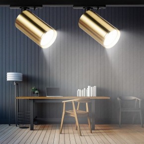 Светильник на штанге Эра  TR39-GU10 BS в Миассе - miass.ok-mebel.com | фото 7