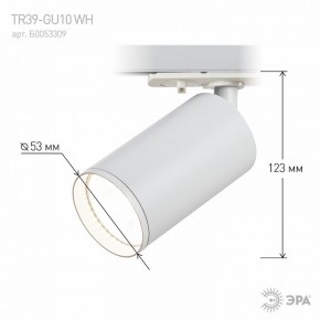 Светильник на штанге Эра  TR39-GU10 WH в Миассе - miass.ok-mebel.com | фото 7