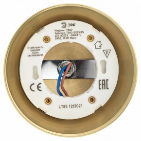 Светильник на штанге Эра  TR42-GX53 BS в Миассе - miass.ok-mebel.com | фото 5