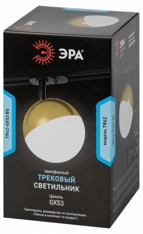 Светильник на штанге Эра  TR42-GX53 BS в Миассе - miass.ok-mebel.com | фото 6