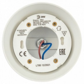 Светильник на штанге Эра  TR42-GX53 WH в Миассе - miass.ok-mebel.com | фото 5
