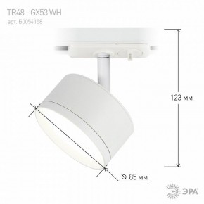 Светильник на штанге Эра  TR48 - GX53 WH в Миассе - miass.ok-mebel.com | фото 4
