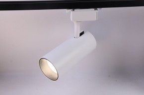 Светильник на штанге Эра  TR5-30 COB WH в Миассе - miass.ok-mebel.com | фото 2