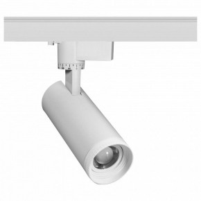 Светильник на штанге Эра  TR59 - 2030 WH в Миассе - miass.ok-mebel.com | фото
