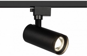 Светильник на штанге Эра  TR59 - 2040 BK в Миассе - miass.ok-mebel.com | фото