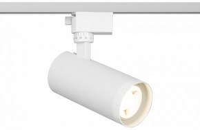Светильник на штанге Эра  TR59 - 2040 WH в Миассе - miass.ok-mebel.com | фото