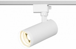 Светильник на штанге Эра  TR59 - 2040 WH в Миассе - miass.ok-mebel.com | фото 5