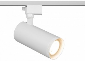 Светильник на штанге Эра  TR59 - 3030 WH в Миассе - miass.ok-mebel.com | фото