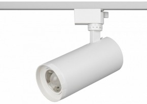 Светильник на штанге Эра  TR59 - 3030 WH в Миассе - miass.ok-mebel.com | фото 2
