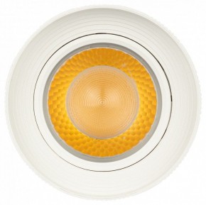 Светильник на штанге Эра  TR59 - 3030 WH в Миассе - miass.ok-mebel.com | фото 3