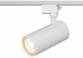 Светильник на штанге Эра  TR59 - 3030 WH в Миассе - miass.ok-mebel.com | фото 5