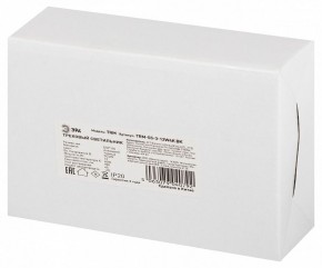 Светильник на штанге Эра  TRM-S5-3-12W4K-BK в Миассе - miass.ok-mebel.com | фото 8