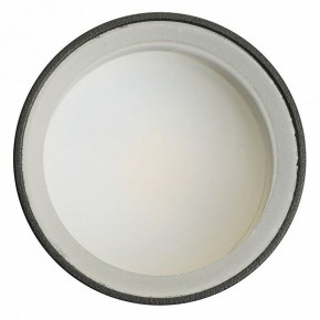 Светильник на штанге Feron ML1001 51371 в Миассе - miass.ok-mebel.com | фото 4
