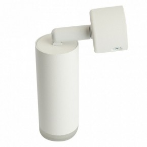 Светильник на штанге Feron ML1021 51390 в Миассе - miass.ok-mebel.com | фото 3