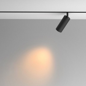 Светильник на штанге Maytoni Artisan TR097-2-12W2.7K-M-BB в Миассе - miass.ok-mebel.com | фото 4