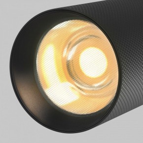 Светильник на штанге Maytoni Artisan TR097-2-12W2.7K-M-BB в Миассе - miass.ok-mebel.com | фото 9