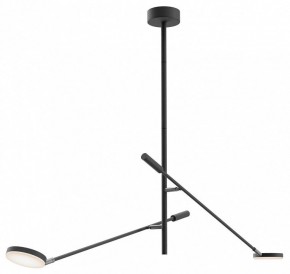 Светильник на штанге Maytoni Fad MOD070CL-L15B3K1 в Миассе - miass.ok-mebel.com | фото