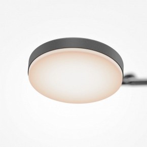 Светильник на штанге Maytoni Fad MOD070CL-L15B3K1 в Миассе - miass.ok-mebel.com | фото 7