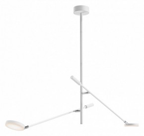 Светильник на штанге Maytoni Fad MOD070CL-L15W3K1 в Миассе - miass.ok-mebel.com | фото