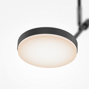 Светильник на штанге Maytoni Fad MOD070CL-L8B3K в Миассе - miass.ok-mebel.com | фото 4