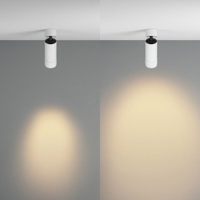 Светильник на штанге Maytoni Focus Zoom C055CL-L12W2.7K-Z-W в Миассе - miass.ok-mebel.com | фото 3