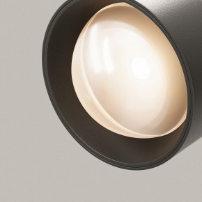 Светильник на штанге Maytoni Lens TR217-2-15W3K-B в Миассе - miass.ok-mebel.com | фото 12