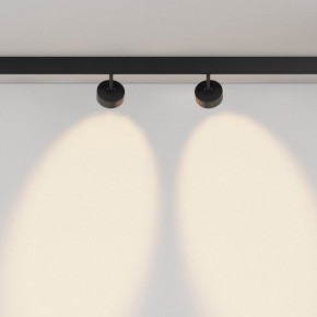 Светильник на штанге Maytoni Lens TR217-2-15W3K-B в Миассе - miass.ok-mebel.com | фото 6