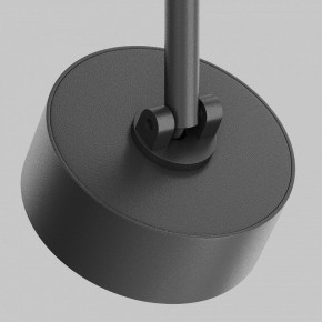 Светильник на штанге Maytoni Lens TR217-4-15WTW-DD-B в Миассе - miass.ok-mebel.com | фото 11