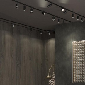 Светильник на штанге Novotech Elina 370777 в Миассе - miass.ok-mebel.com | фото 4