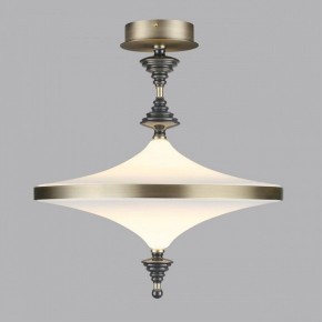 Светильник на штанге Odeon Light Ula 5404/43CL в Миассе - miass.ok-mebel.com | фото 3