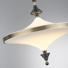 Светильник на штанге Odeon Light Ula 5404/43CL в Миассе - miass.ok-mebel.com | фото 6