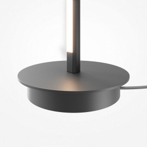 Торшер Maytoni Thin MOD395FL-L28B3K в Миассе - miass.ok-mebel.com | фото 8